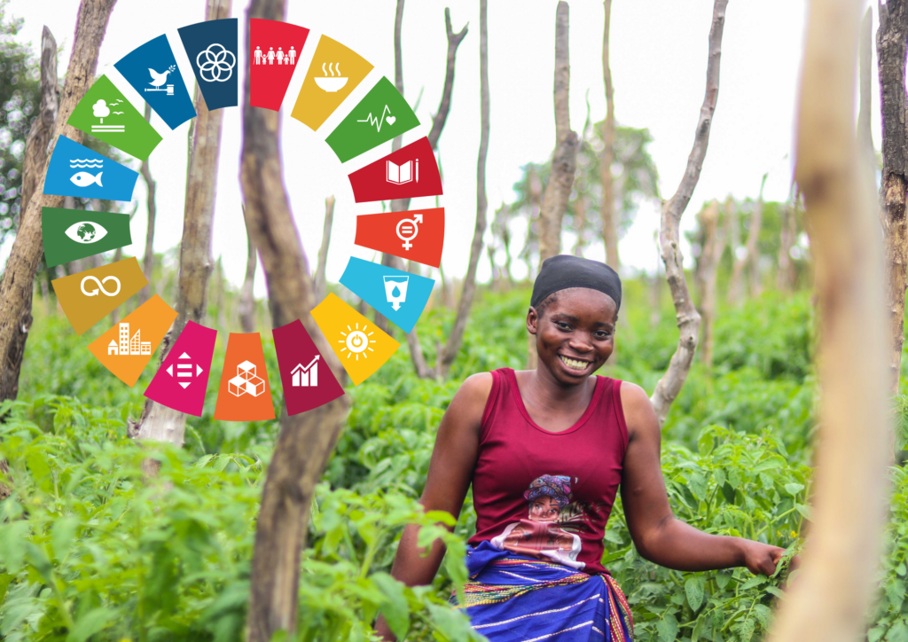 The ‘Forgotten’ Gender in the Fight Against Climate Change in Africa ...